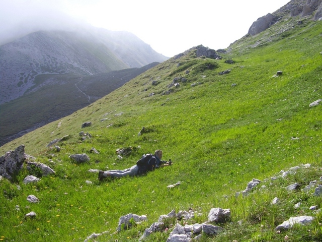 Nigritella widderi nel Parco Nazionale del Gran Sasso e dei Monti della Laga 2020.